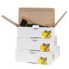 Cartons pour bouteilles de vin, motif feuille de vigne - Premium