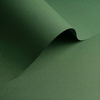Olin Colours