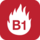 B1